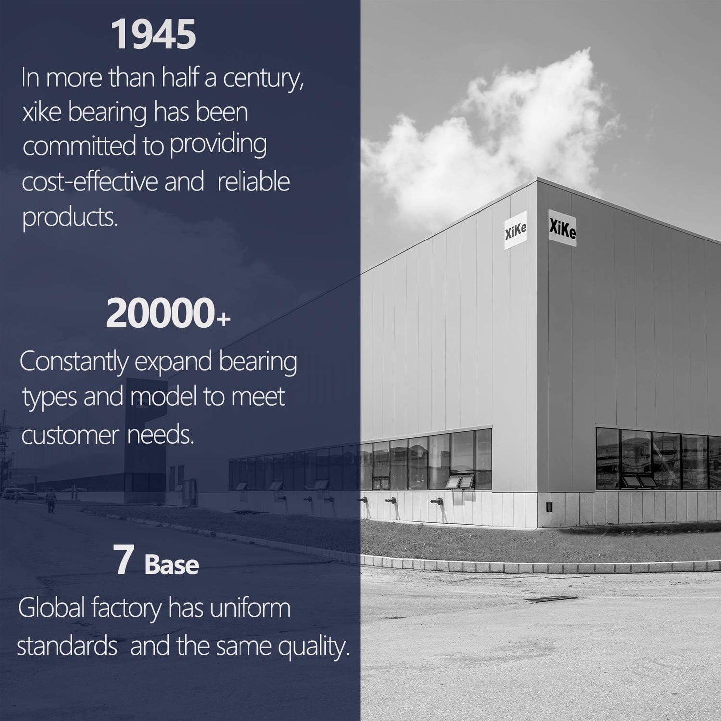 XiKe 12 Pack Blue 2" Nylon Garage Door Roller 4" Stem, Quiet/Durable and High Load, Use 6200-2RS Double Seals Precision Bearings.