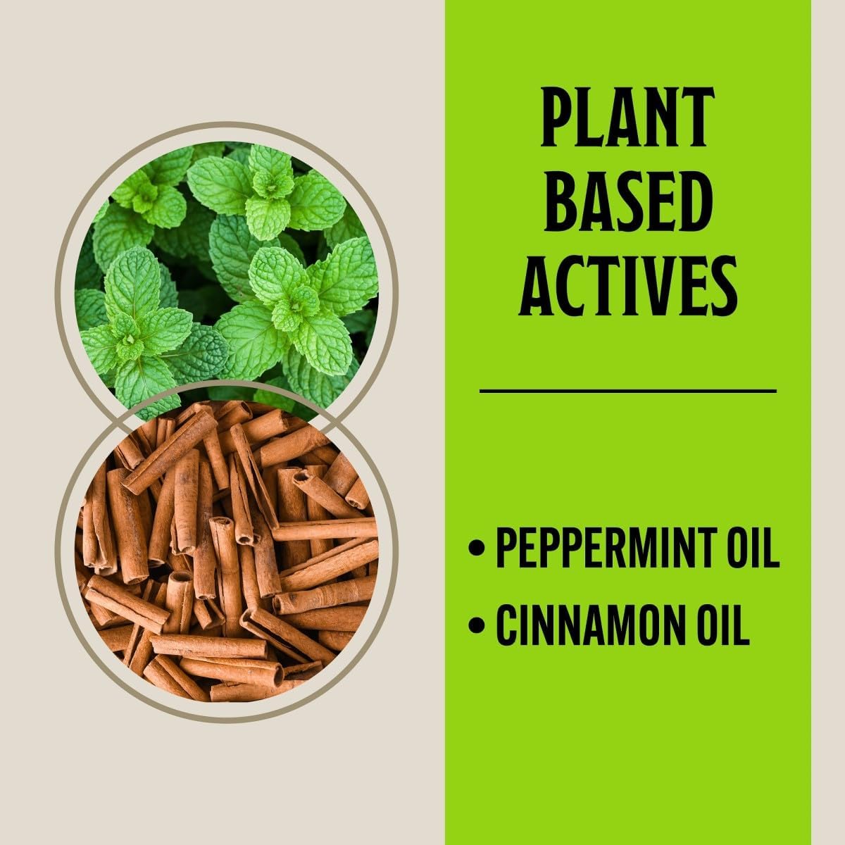 Grandpa Gus's Natural Mouse Repellent Pouches, Cinnamon/Peppermint Oils Repel Mice from Nesting & Freshen Air in Home/Cabin/Boat/Car/Storage/RV/Machinery/Shed, 1.75 Oz (40 Pouches)