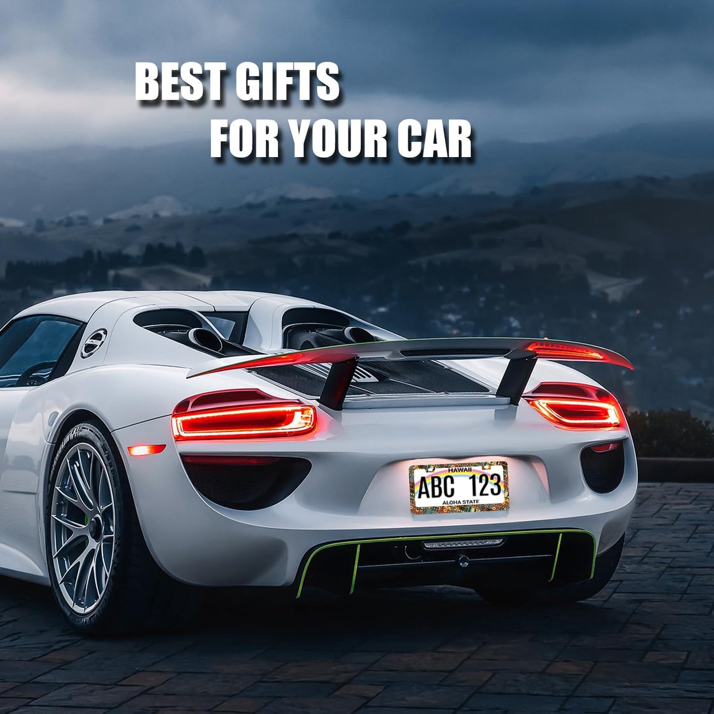 Ethnic Tribal Texture License Plate Frame Boho License Plate Holder Stainless Steel Funny Colorful Car Accessories Decoration 6.3" X 12.3" with 2 Holes Screws