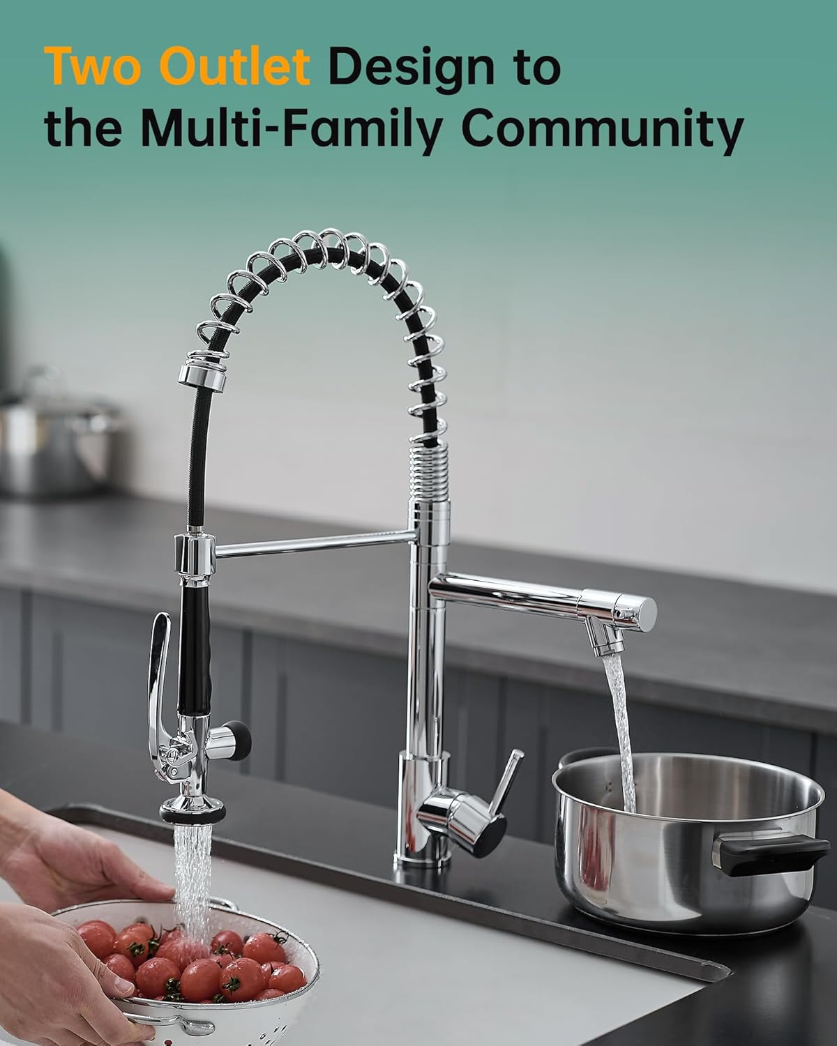 Fapully Chrome Kitchen Faucet with Sprayer,Commercial Single Handle Pull Down Kitchen Sink Faucet