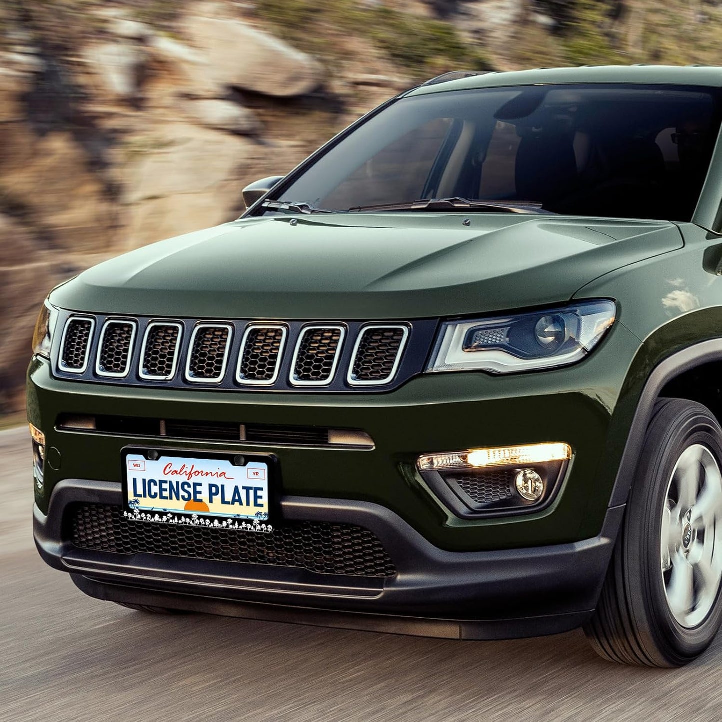 Forest License Plate Frames - 2 Pack Forest Tree Black Stainless Steel License Plate Holder,Rust-Proof Waterproof Car Decorative Tag Frame with Screws Fasteners Caps