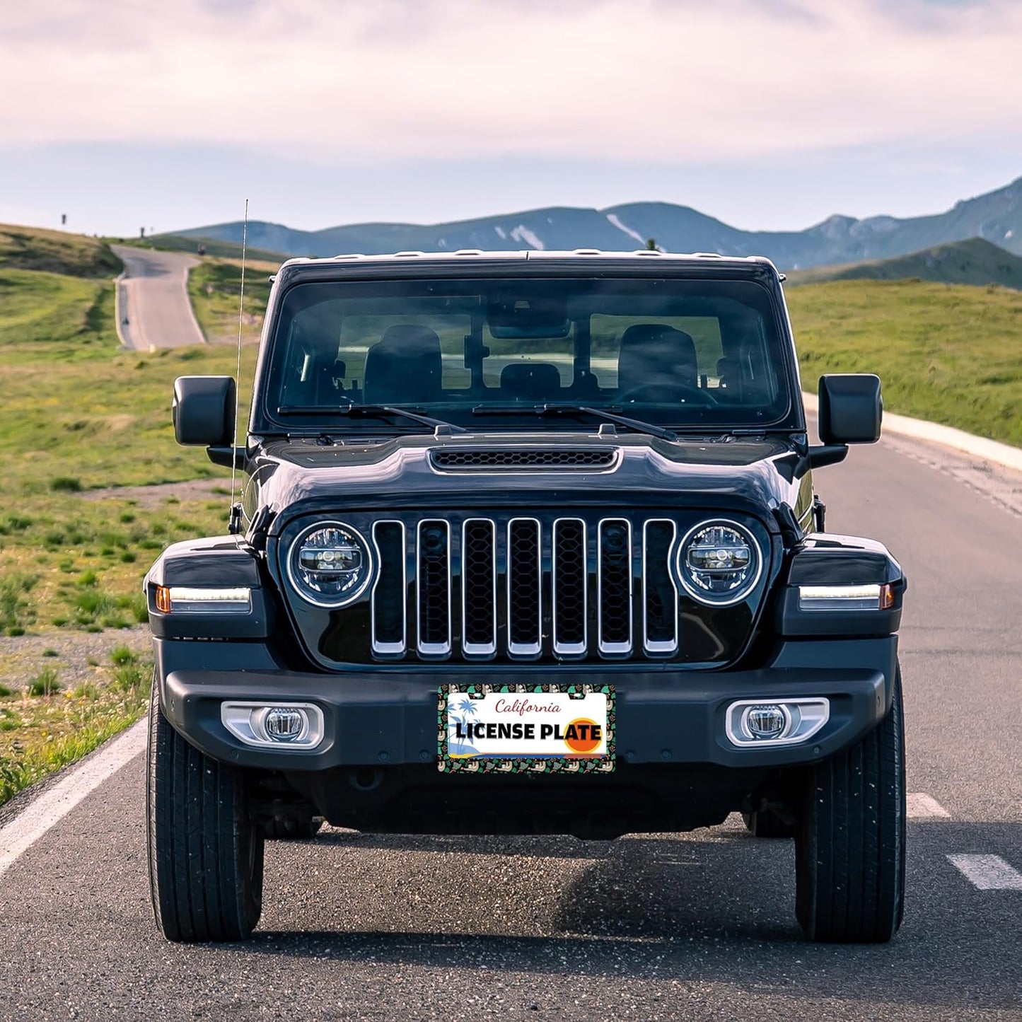 Cute Sloth License Plate Frame Funny Animal Climbing Tree License Plate Holder for Front or Rear Car Tags Stainless Steel Car Decoration with Screws 6.3 X 12.2 in